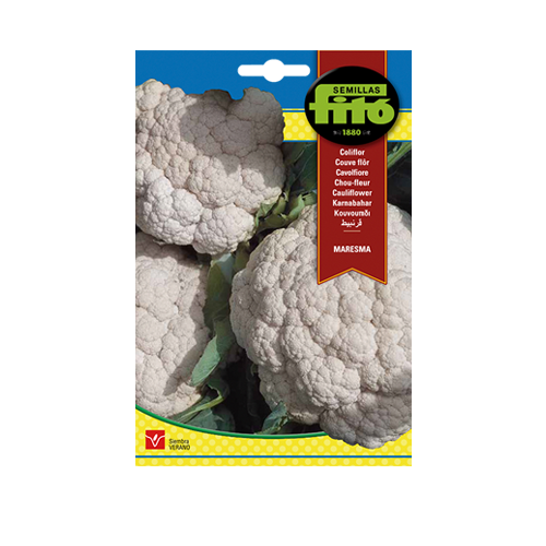 Imagen de COLIFLOR MARESMA SUP